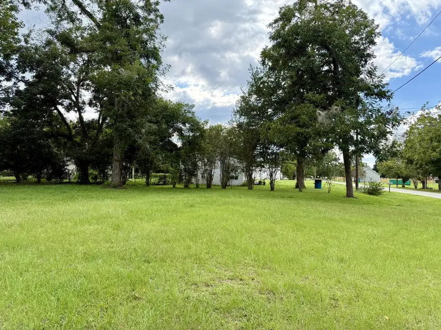 00 E Anderson St #1, Pavo, GA 31778 - #2