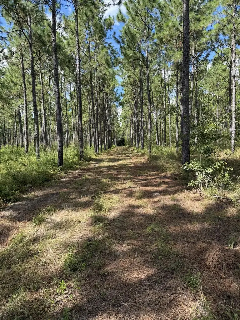 4149 Ga Hwy 311, Camilla, GA 31730 - #1
