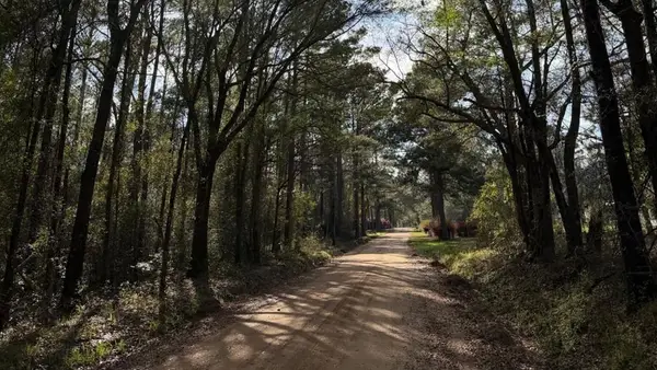 Lot #4 Old Faceville Rd, Bainbridge, GA 39819