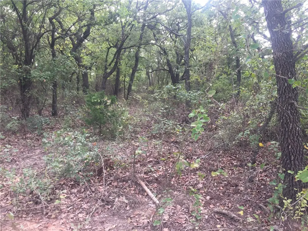000 Starr Mann, Saint Jo, TX 76265 - #1