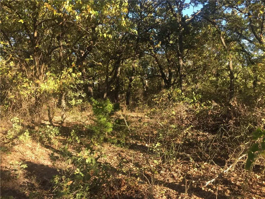 000 Starr Mann, Saint Jo, TX 76265 - #2