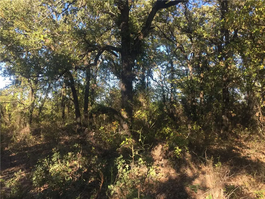 000 Starr Mann, Saint Jo, TX 76265 - #3