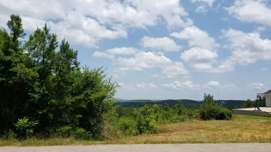 11082 Skyline Drive, Brownsboro, TX 75756 - Image #2