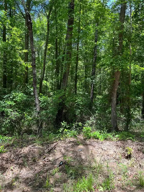 TBD Cr 1670, Mt Pleasant, TX 75455