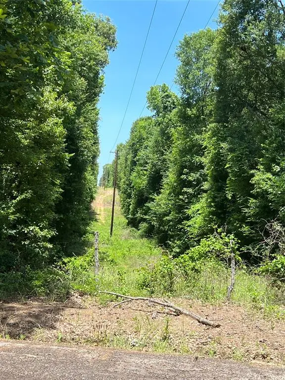 TBD Cr 1670, Mount Pleasant, TX 75455 - #2