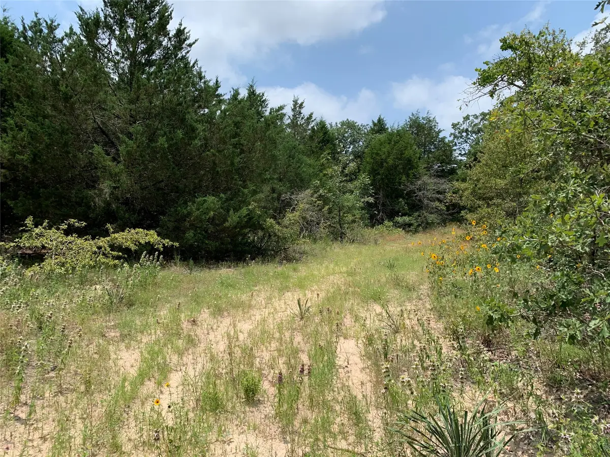 TBD Fm 2494, Athens, TX 75751 - Image #1