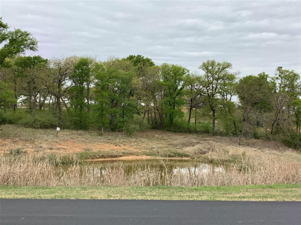 634 S Sugartree Drive, Brock, TX 76462 BHGRE