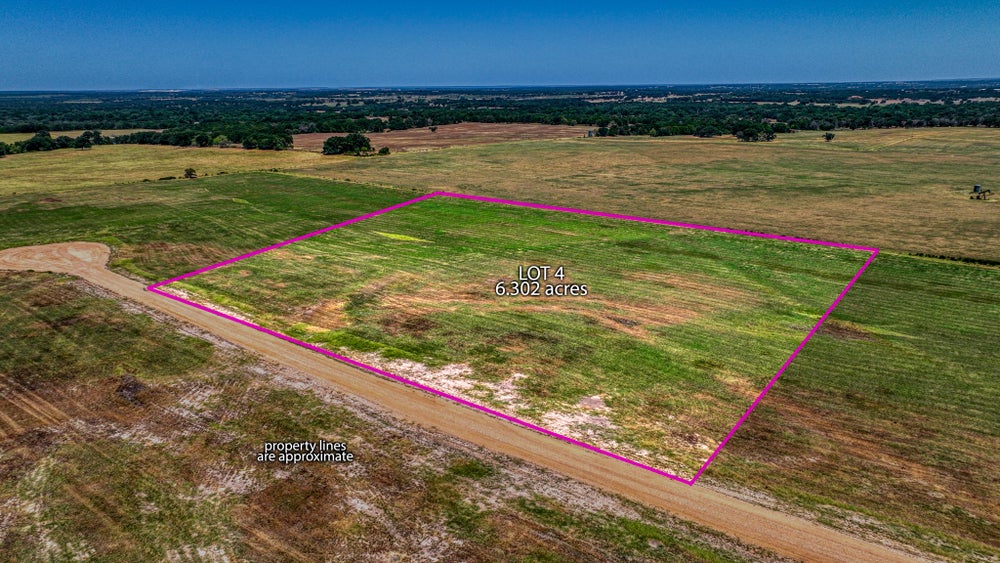 206 Homestead Court, Lipan, TX 76462 BHGRE