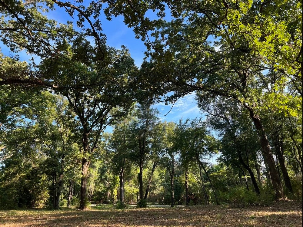 609 Oakwood Drive, Tool, TX 75143 BHGRE