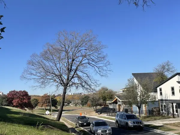 1254 E Magnolia Avenue, Fort Worth, TX 76104