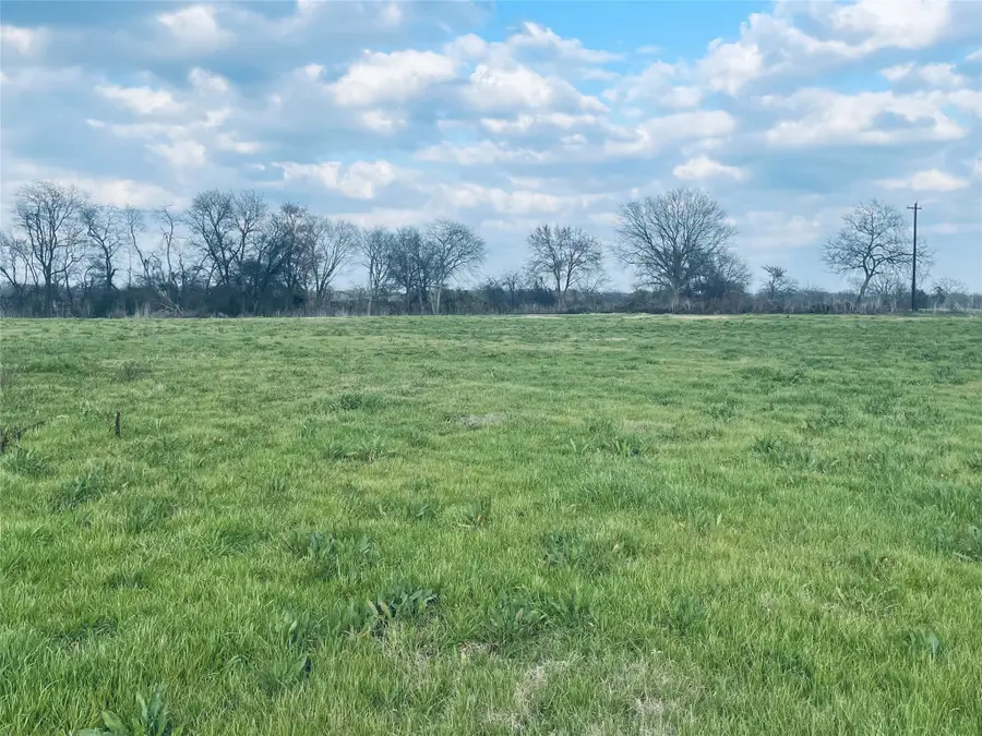 TBD Cr 2383, Pickton, TX 75471 - Image #3