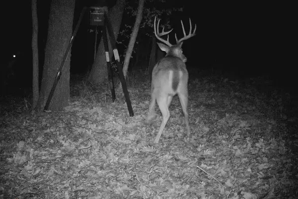 6949 Fm 852, Winnsboro, TX 75494