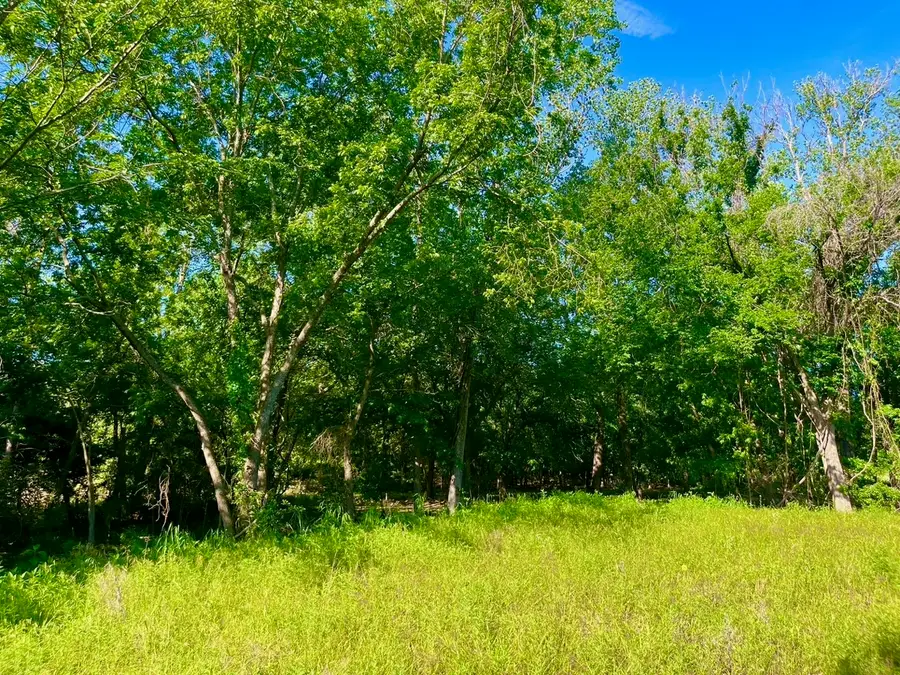 Lot 51 Wicklow Ct, Poolville, TX 76487 - Image #2