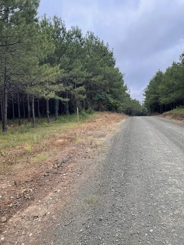 TBD County Road 1090, Center, TX 75935