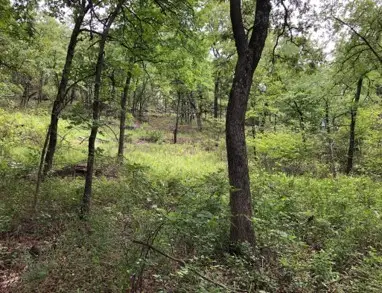 496P+5W8 Tbd, Seminole, OK 74830 - Image #3