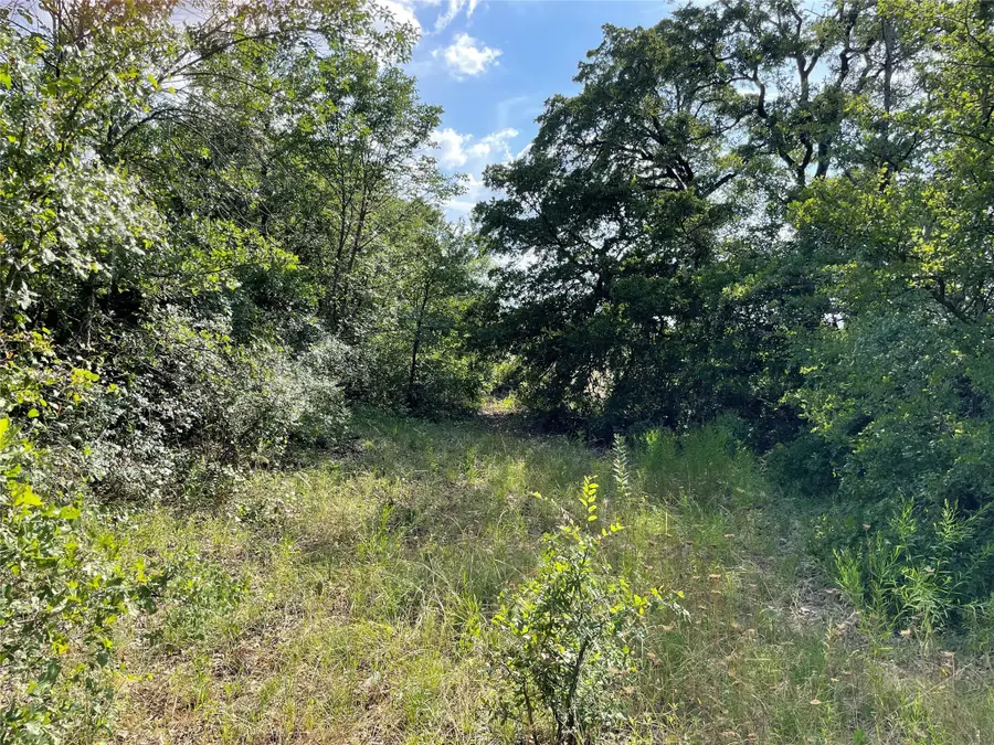 TBD Fm-1658, Bridgeport, TX 76426 - Image #3