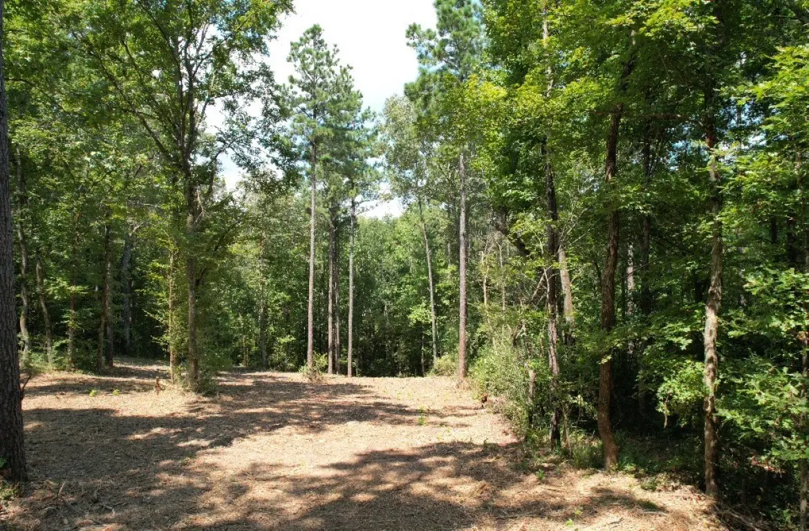TBD County Road 3704, Joaquin, TX 75954 - #1