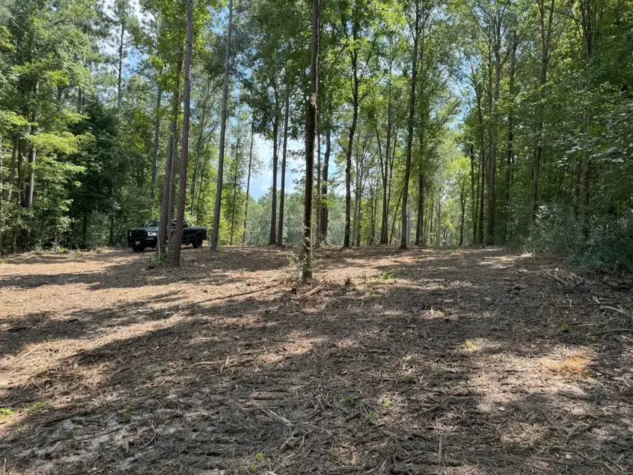 TBD County Road 3704, Joaquin, TX 75954 - #3