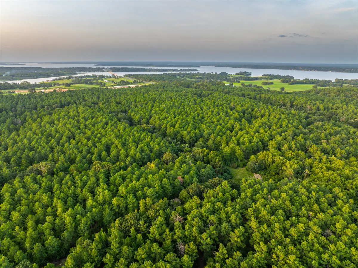 Tract 5 Hwy 155, Frankston, TX 75763 - Image #1