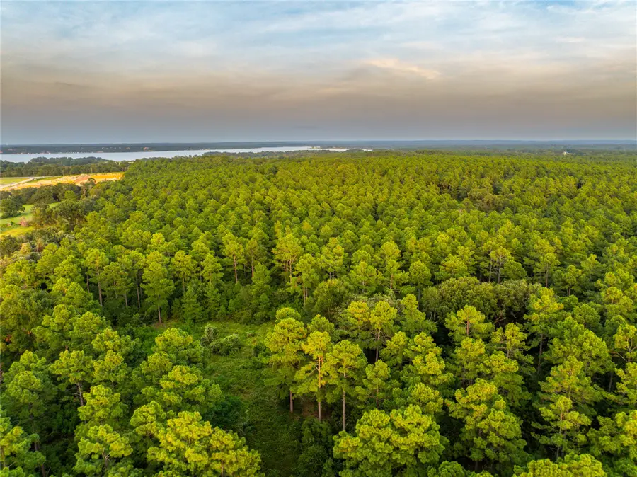 Tract 8 County Road 4221, Frankston, TX 75763 - Image #2