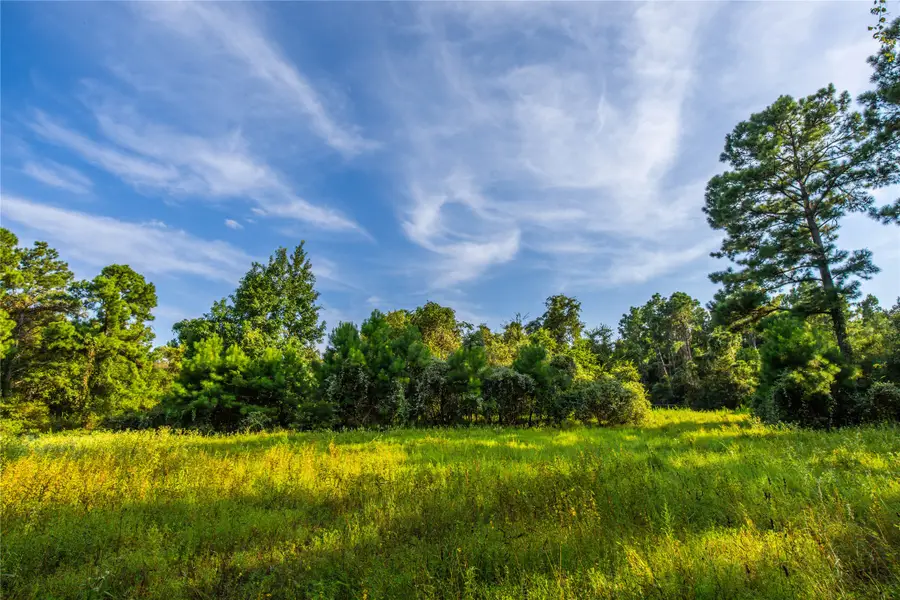 Tract 11 County Road 4222, Frankston, TX 75763 - Image #2