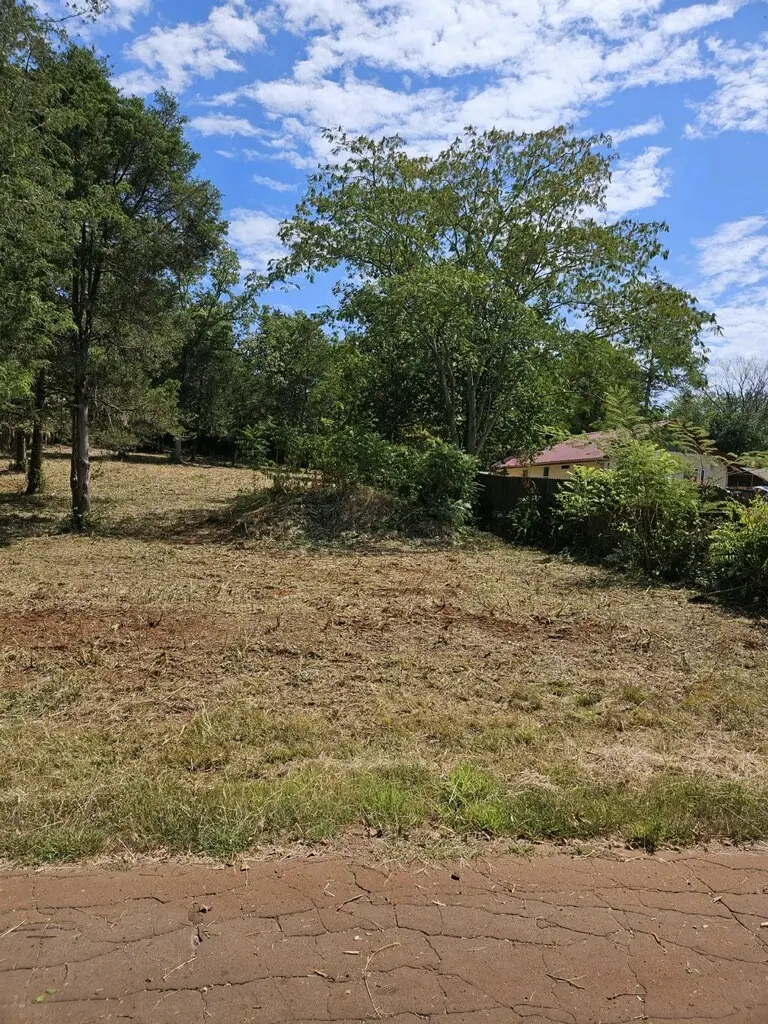 433 Timberline Drive, Bullard, TX 75757 - Image #3