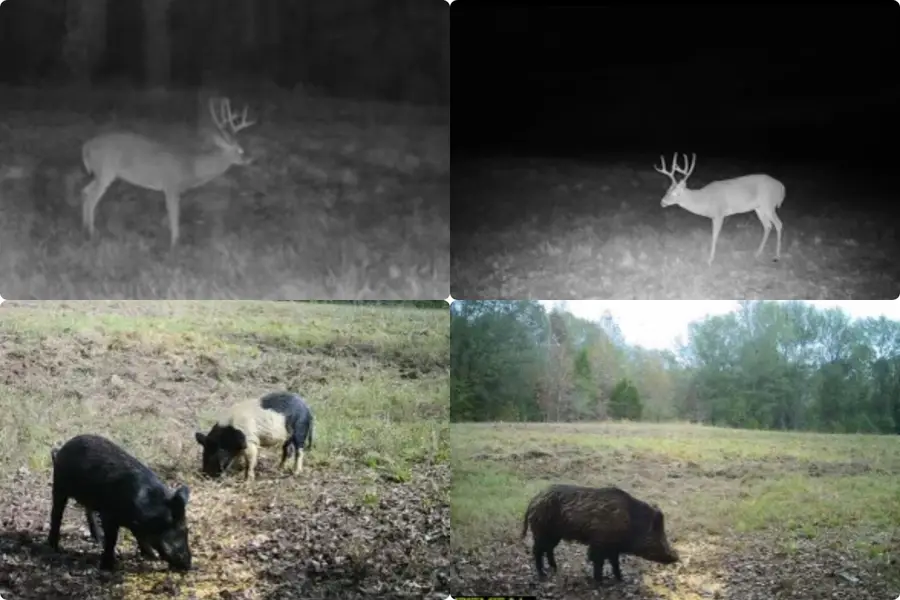 Tract B Hwy 69, Mineola, TX 75773 - Image #2