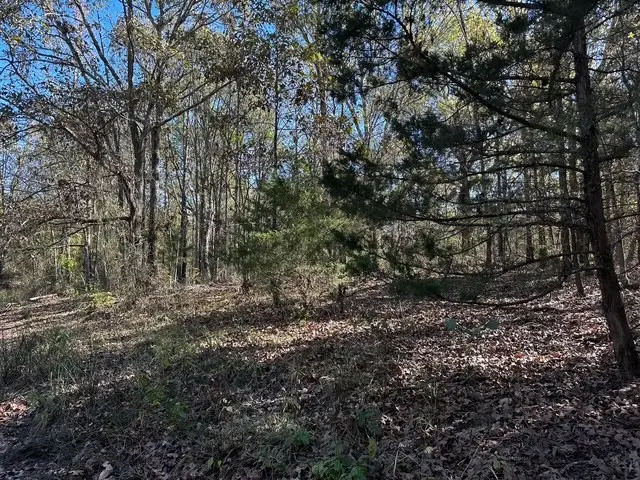 #2