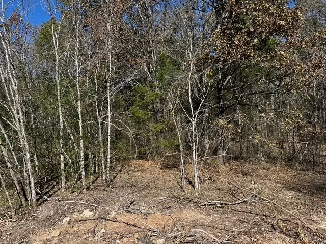 #3
