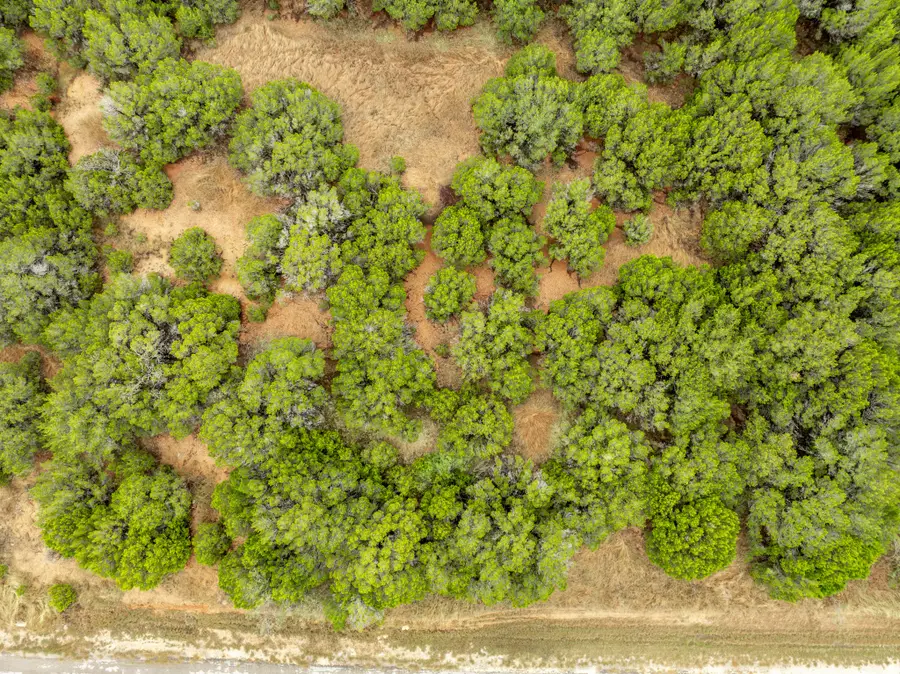 18062 Forrest Drive, Whitney, TX 76692 - Image #3