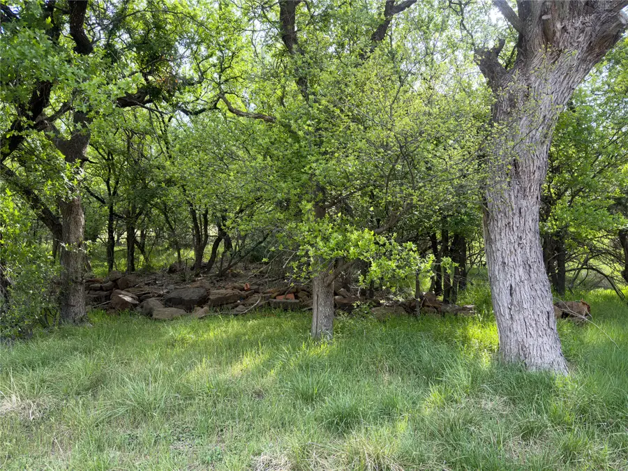 00 NE 9th Avenue, Mineral Wells, TX 76067 - #2