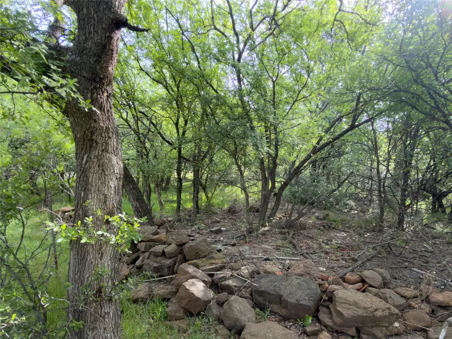 00 NE 9th Avenue, Mineral Wells, TX 76067 - #3