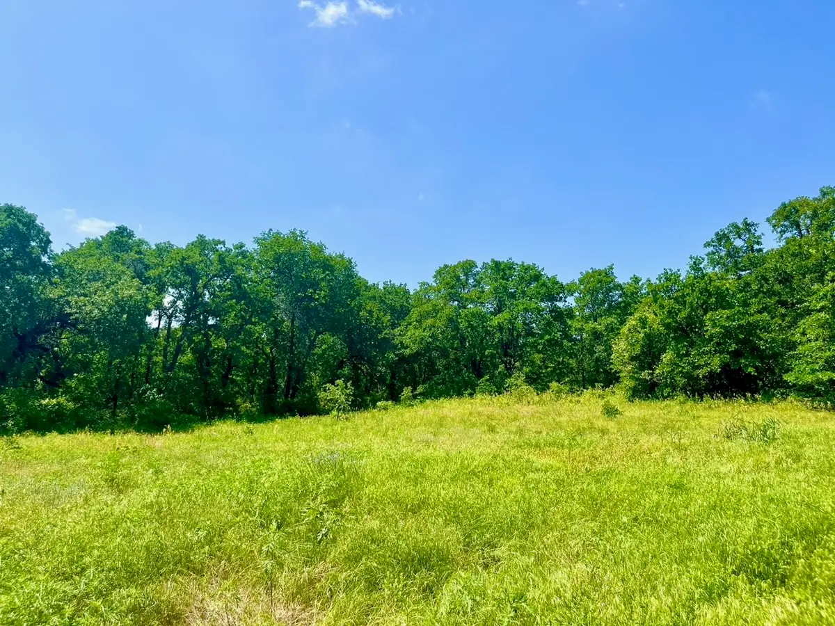 Lot 42 Antrim Court, Poolville, TX 76487 - Image #1