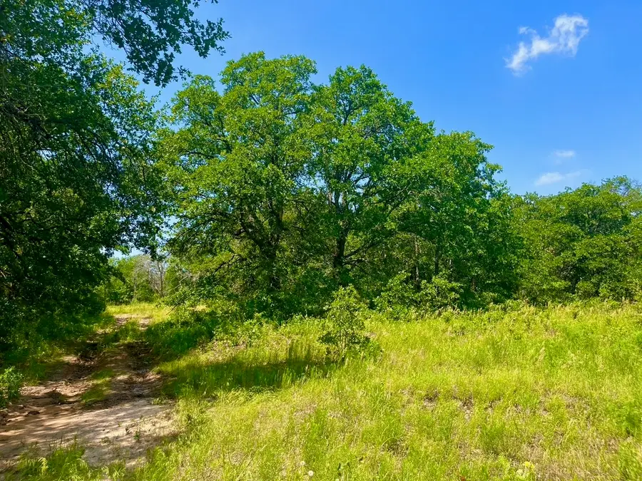 Lot 42 Antrim Court, Poolville, TX 76487 - Image #2