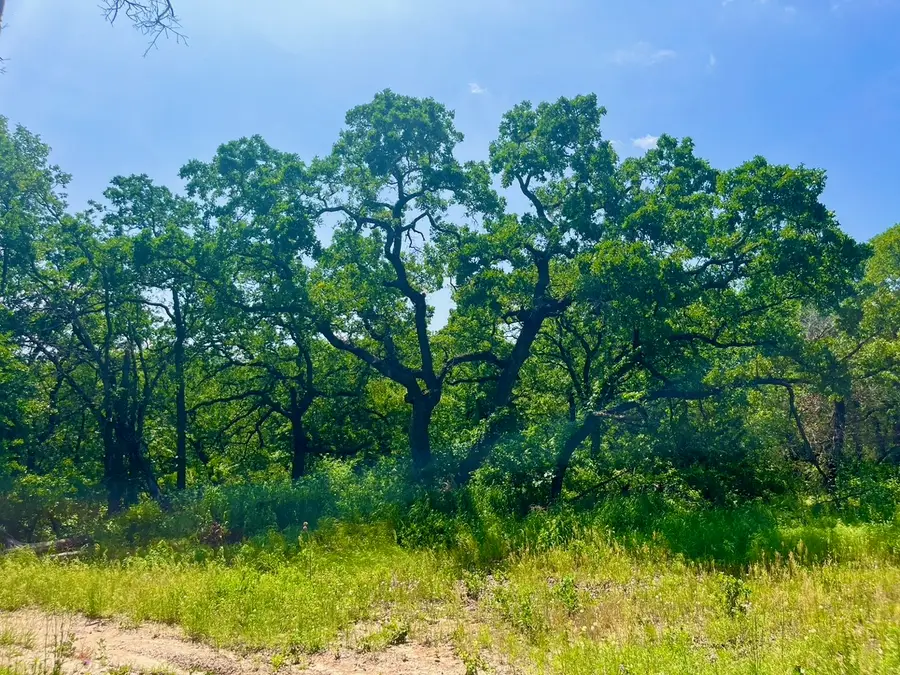 Lot 42 Antrim Court, Poolville, TX 76487 - Image #3