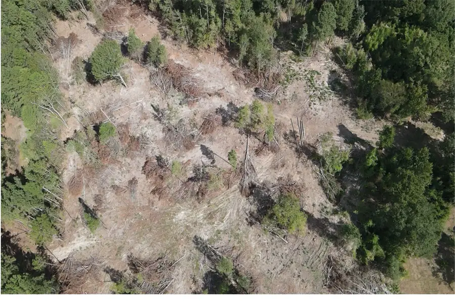 500 Uren Lee Road, Overton, TX 75684 - Image #2