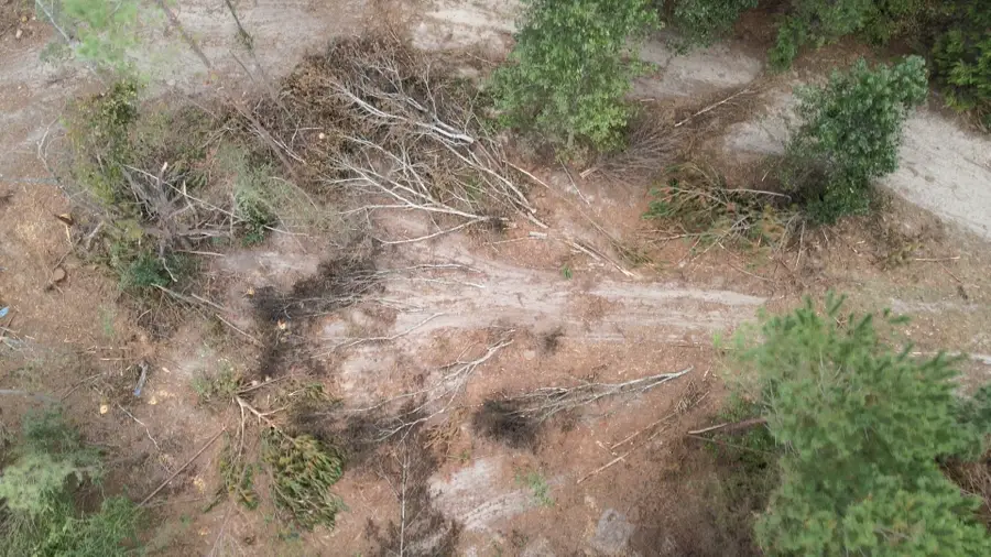 500 Uren Lee Road, Overton, TX 75684 - Image #3