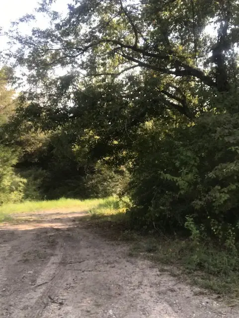 #2