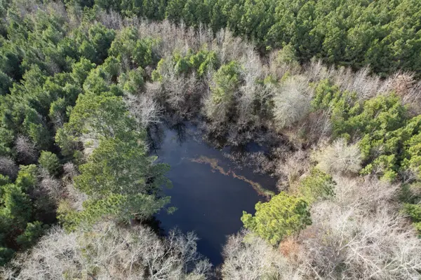 Tract D County Road 4037, Timpson, TX 75975