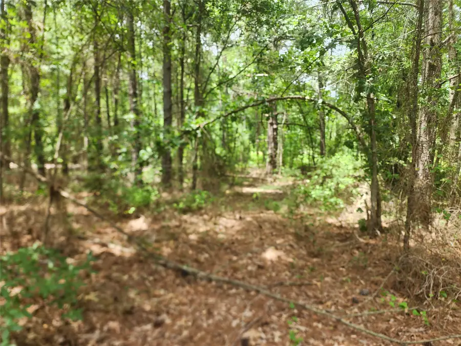 9999 County Road 2140, Quitman, TX 75783 - Image #2