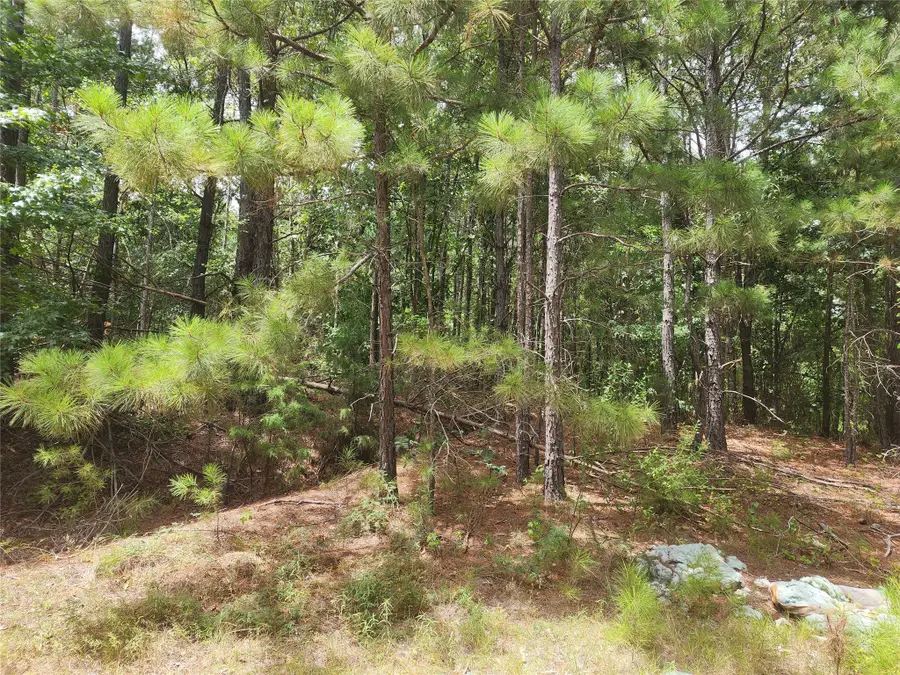 9999 County Road 2140, Quitman, TX 75783 - Image #3