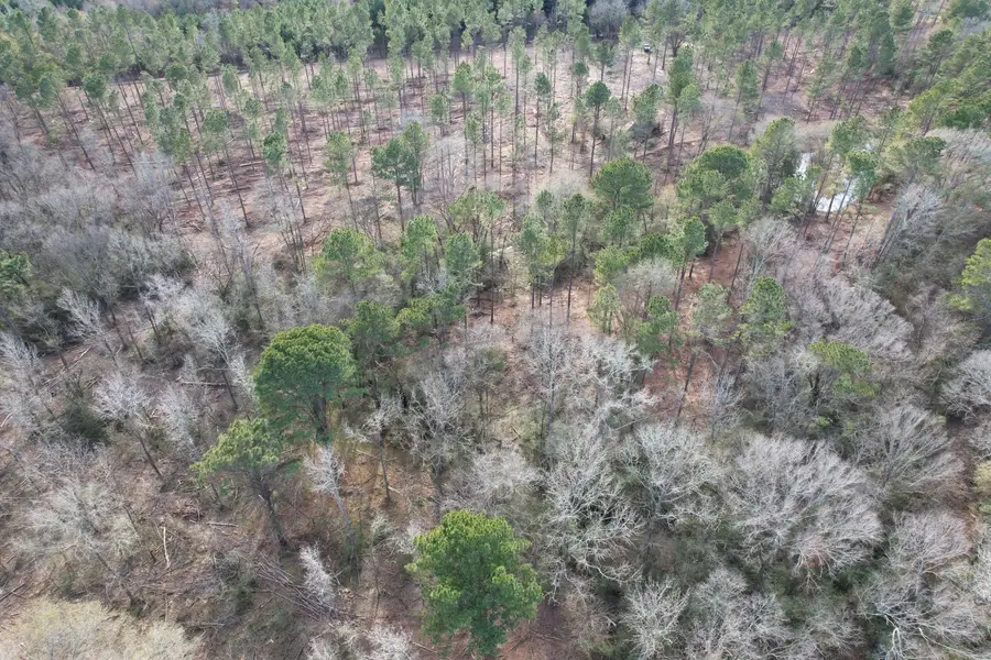 Tract B County Road 4037, Timpson, TX 75975 - #2