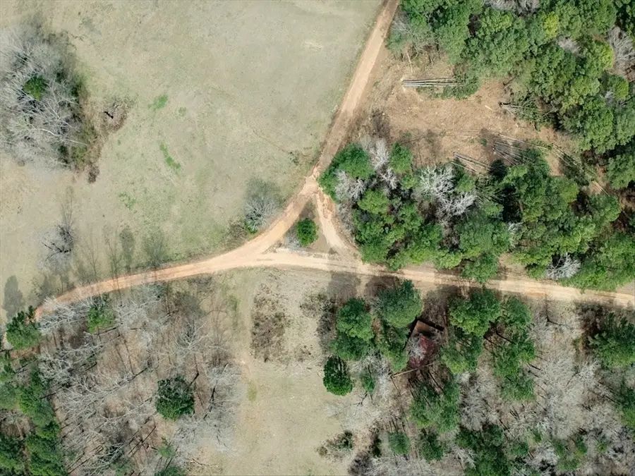 1425 State Highway 300, Gilmer, TX 75645 - Image #3