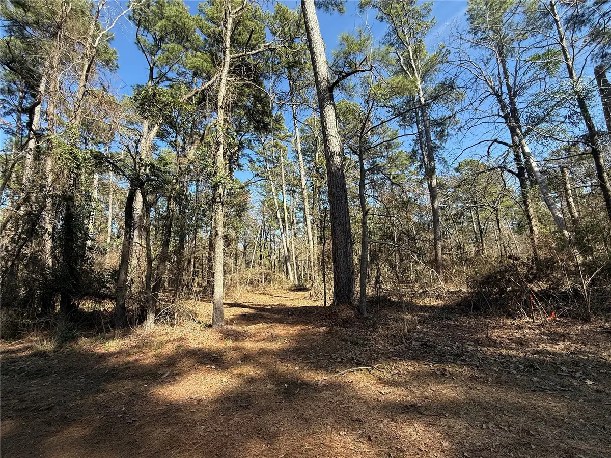 Lot 2 Private Road 8573, Winnsboro, TX 75494 - #1
