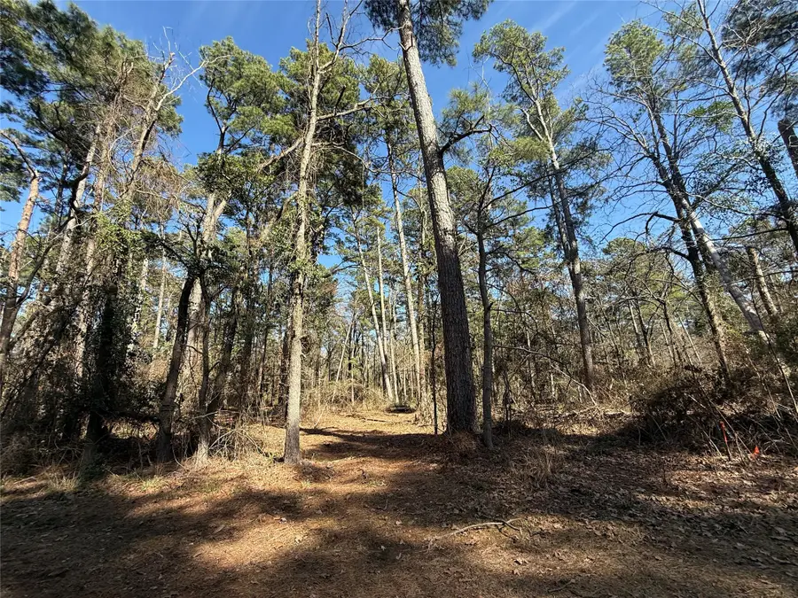 Lot 2 Private Road 8573, Winnsboro, TX 75494 - #2