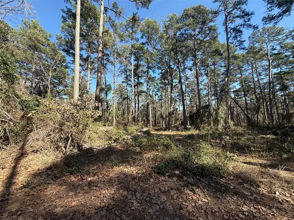 Lot 4 Private Road 8573, Winnsboro, TX 75494