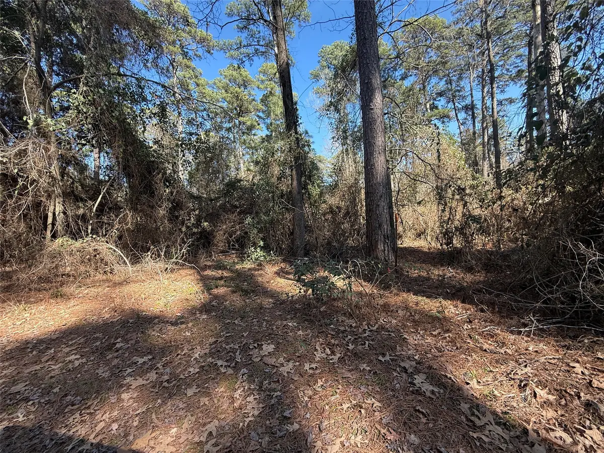Lot 5 Private Road 8573, Winnsboro, TX 75494 - #1