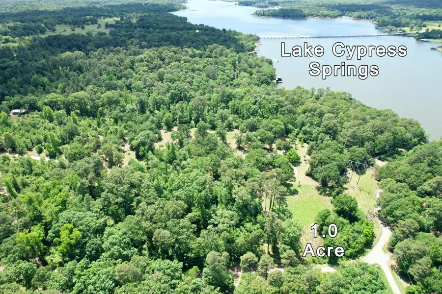 TBD Private Road 4403, Scroggins, TX 75480 - #3