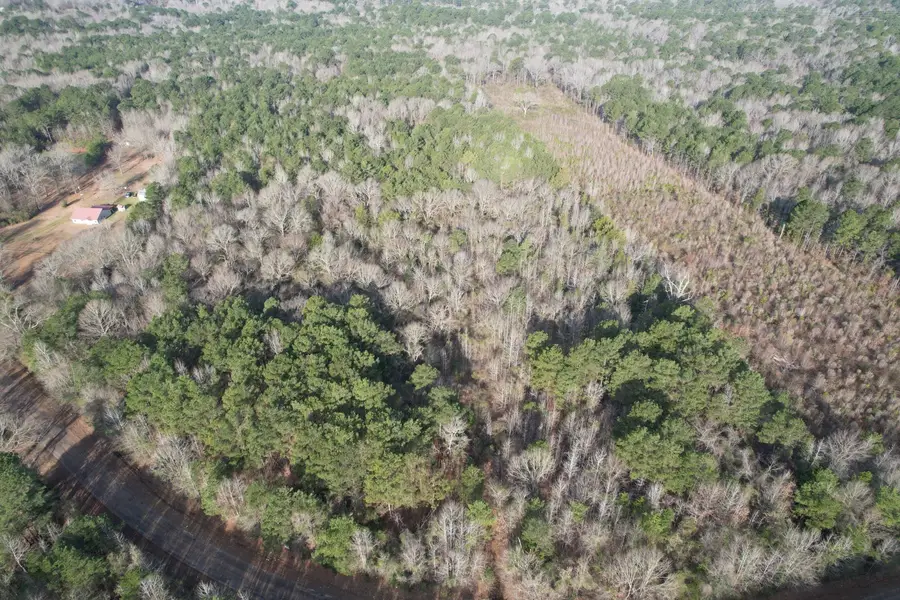 TBD County Road 3659, Queen City, TX 75572 - Image #2