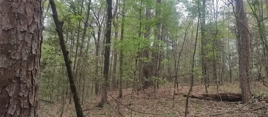#3